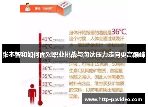 张本智和如何面对职业挑战与淘汰压力走向更高巅峰