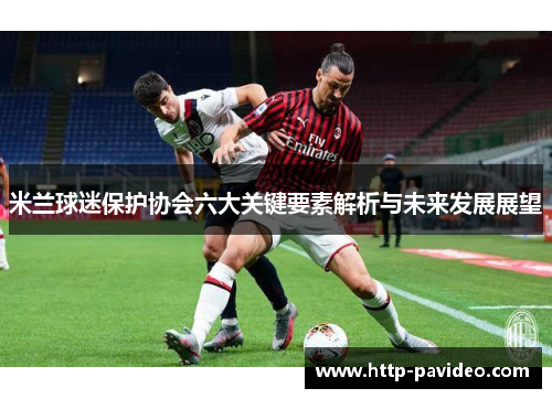 米兰球迷保护协会六大关键要素解析与未来发展展望 米兰球迷保护协会六大关键要素解析与未来发展展望